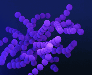 Ozone & Oxygen Nanobubble - Shrimp gills and AHPND