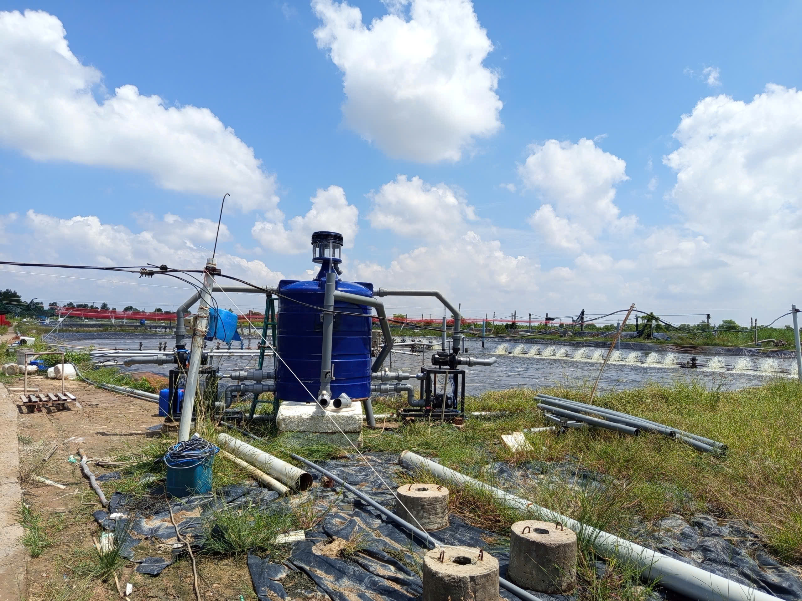 100 m3/h Protein Skimmer: Counter-Current, Do-it-Yourself with 2 m3 water tank