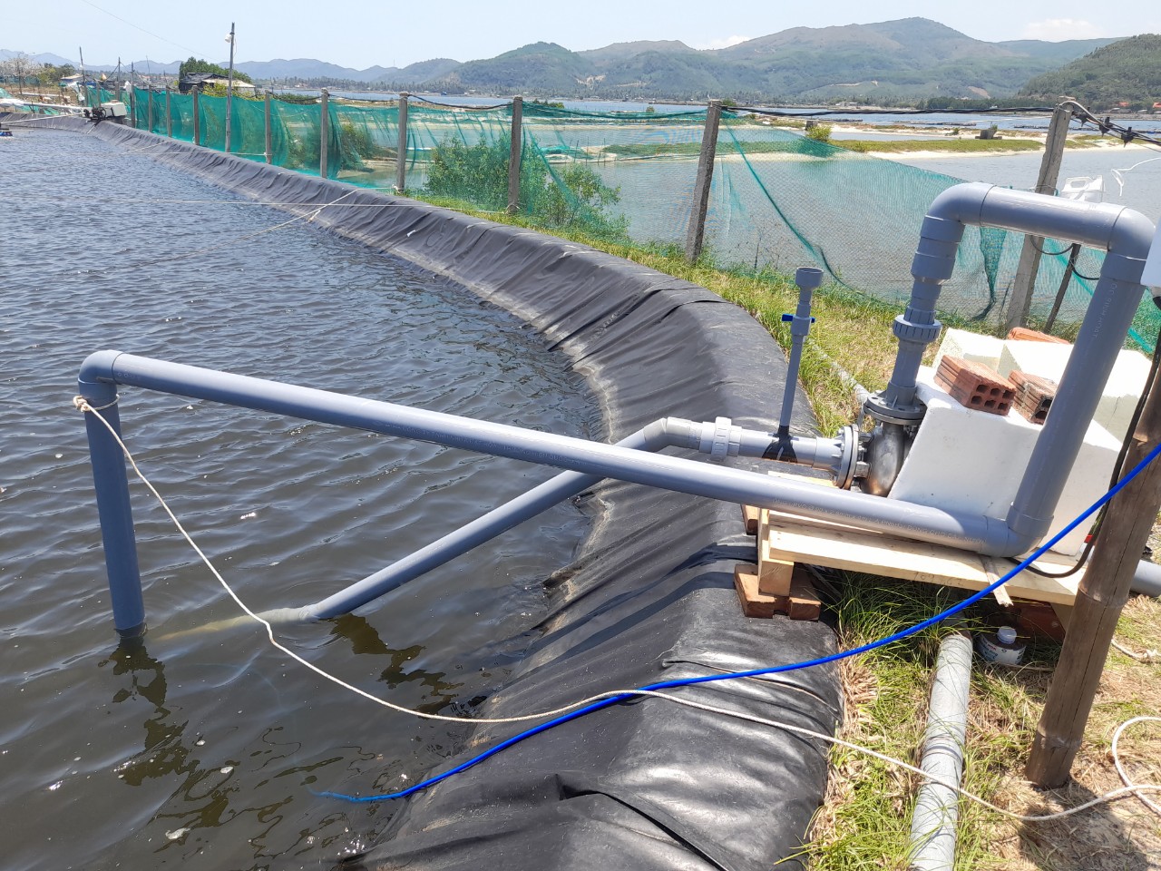 Fine bubble nozzle and a Protein Skimmer for a shrimp pond with very low daily water exchange