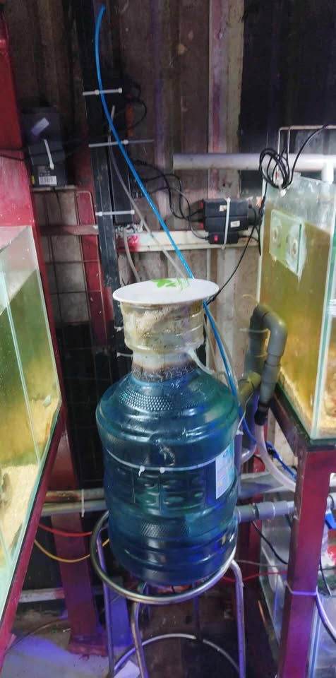Ven X MM05 for Co-current Protein Skimmer self-built by a customer