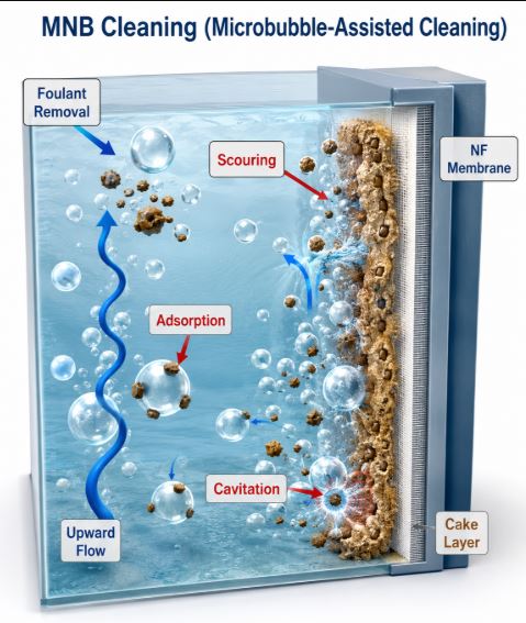 Membrane foulants removal by Micro-nanobubbles