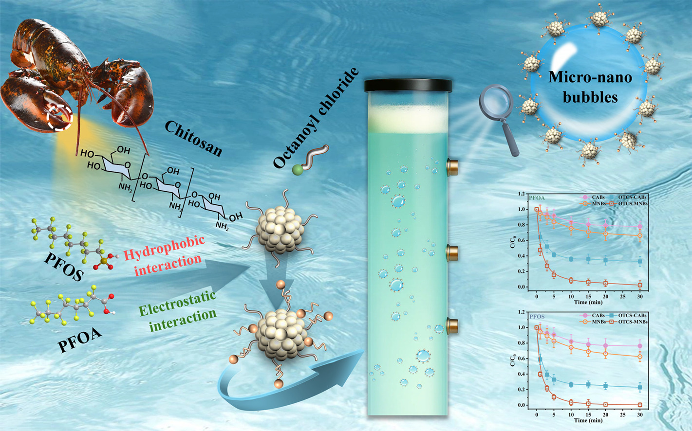 PFAS removal by micro-nanobubble enhanced foam fractionation with chitosan